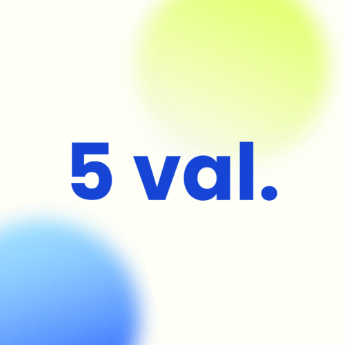 Paslaugų paketas 5 val.